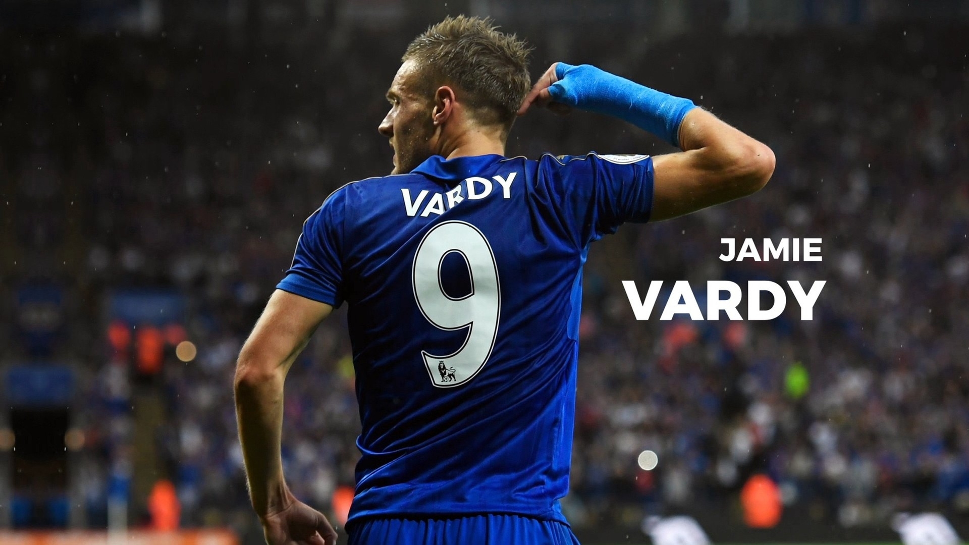 东莞家家乐食品集团画册设计案例欣赏