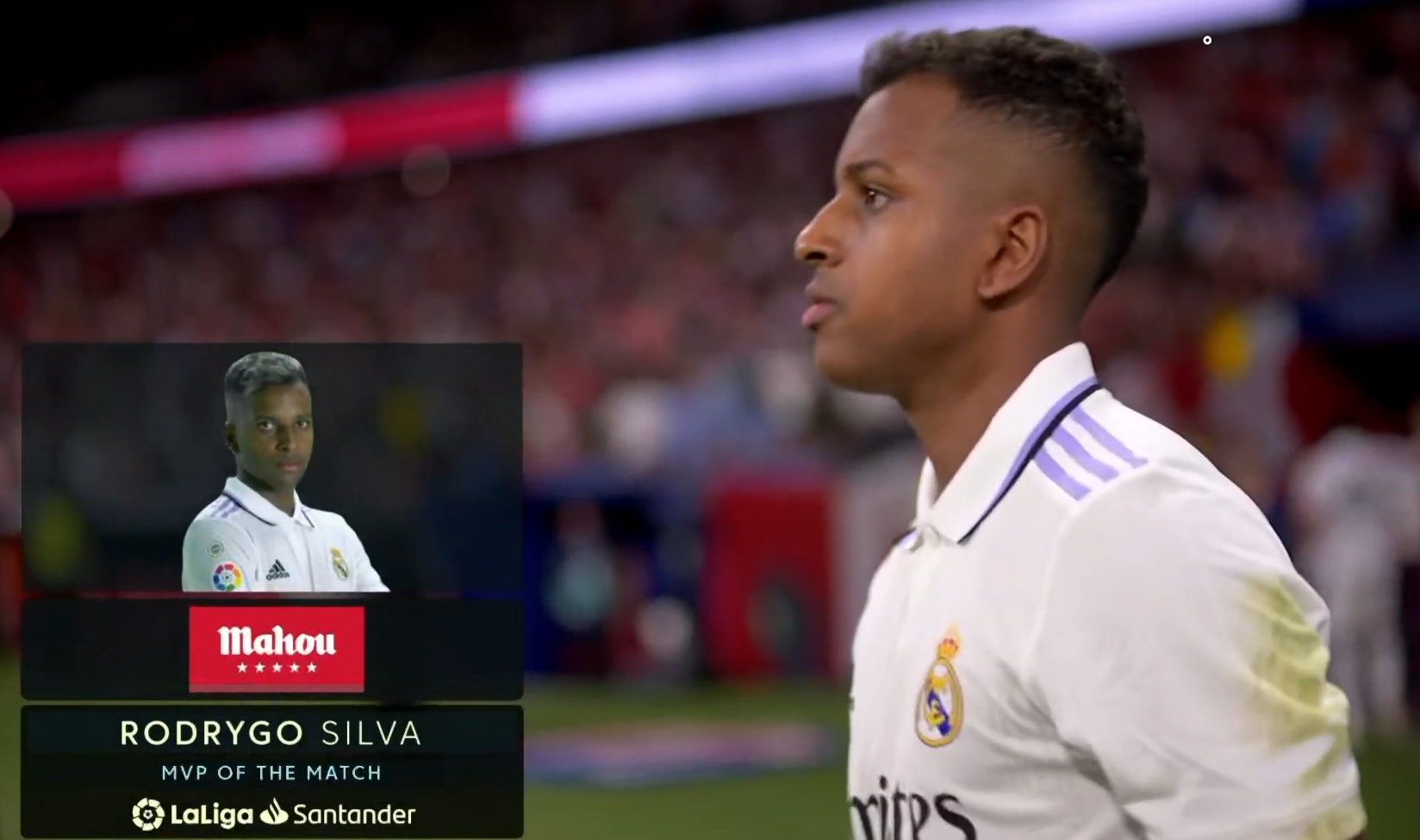 猫粮包装设计_东莞产品包装盒设计