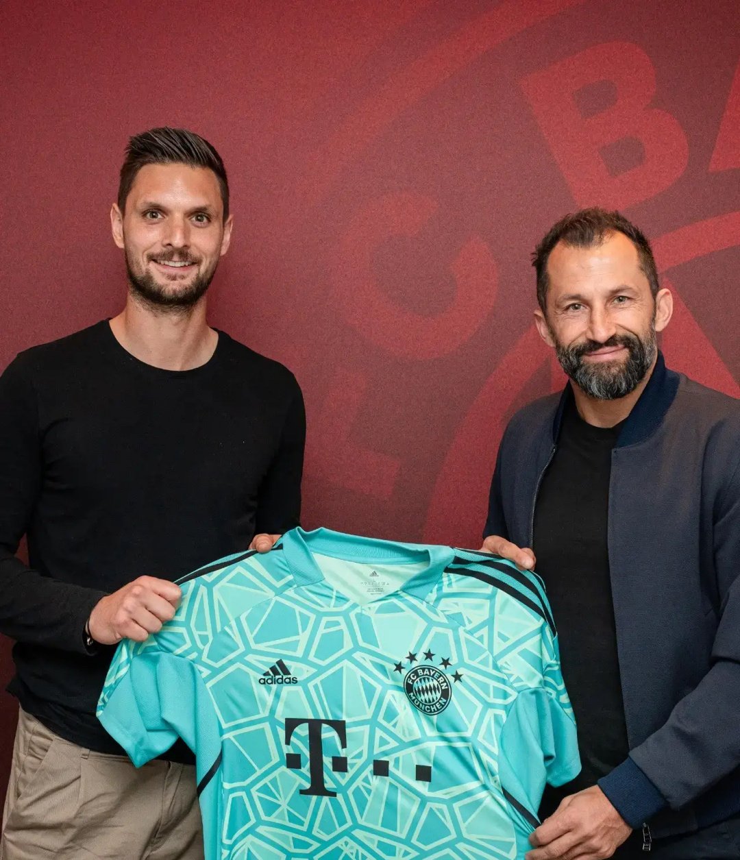 东莞泓华光电科技logo设计案例